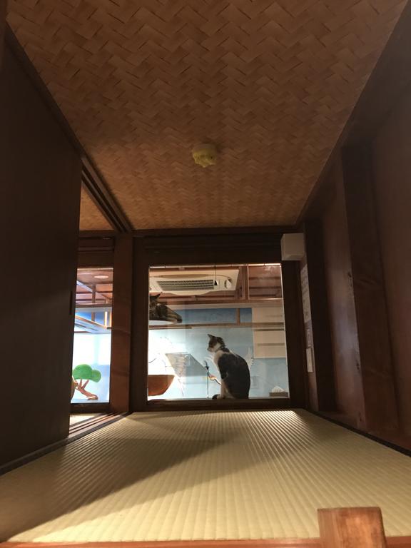 Cat Spa & Cat Ryokan by Neco Republic Osaka