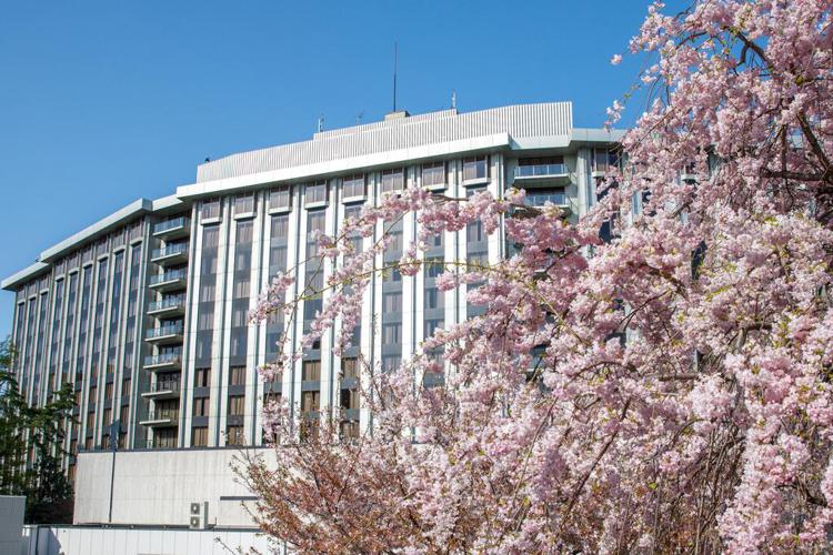 Sheraton Miyako Hotel Tokyo