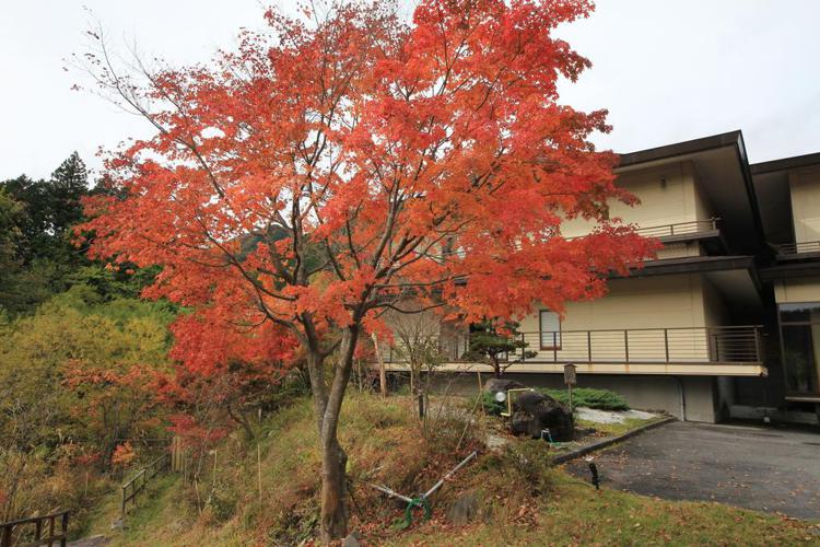 Okunoin Hotel Tokugawa