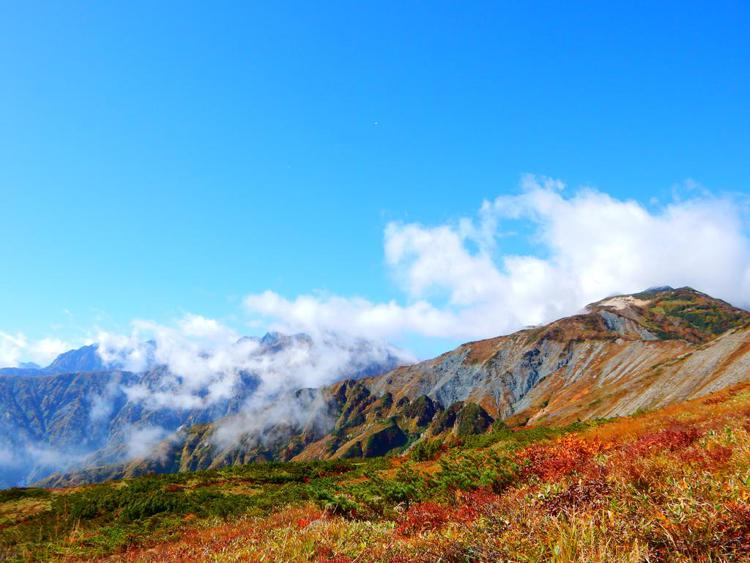 Schole Hakuba