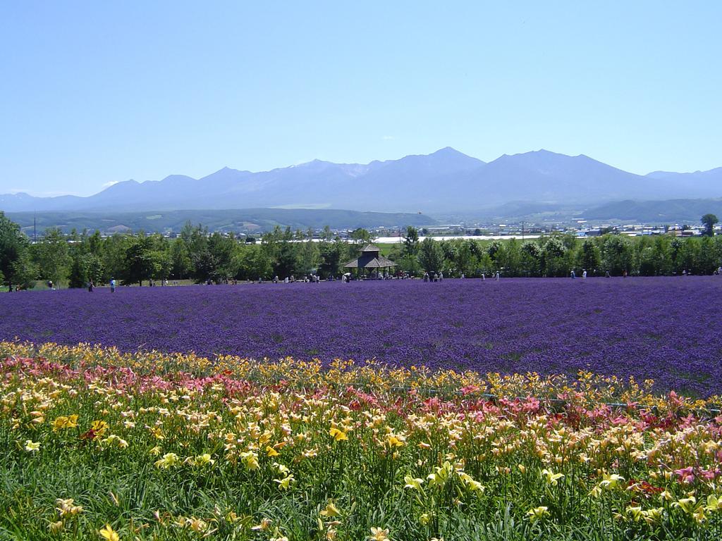 Furano Prince Hotel