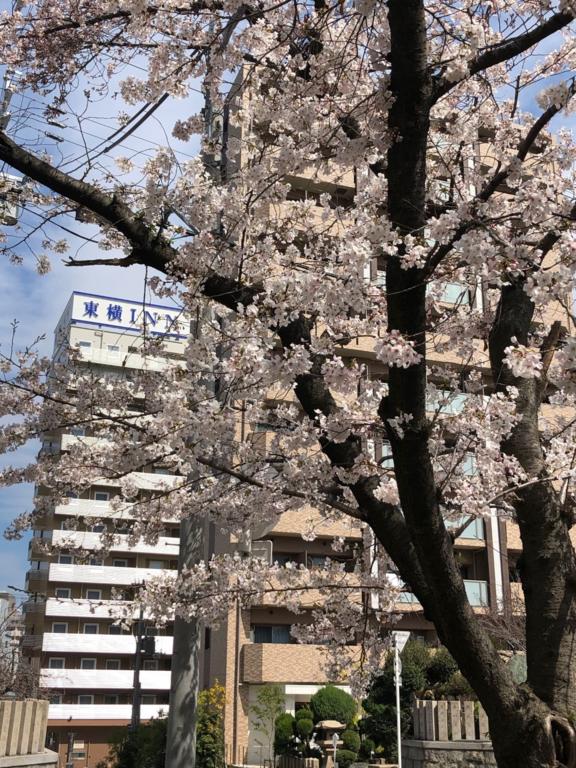 Toyoko Inn Osaka Sakuranomiya-eki Nishi-guchi