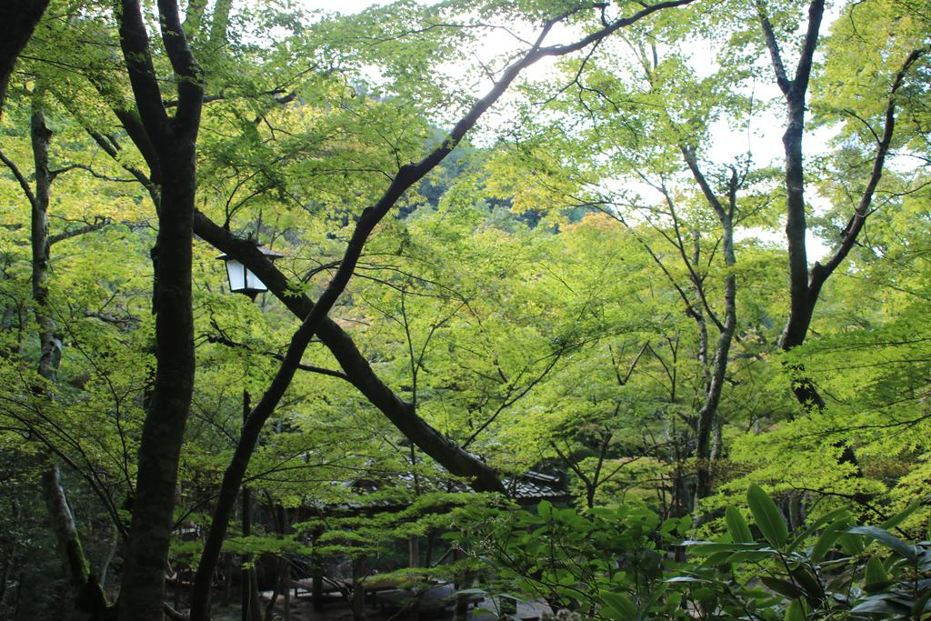 Arima Onsen Koki