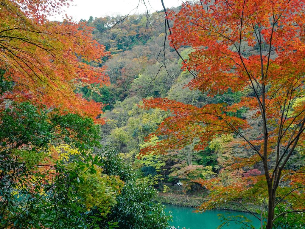 KYOTO MACHIYADO SHIJOKARASUMA