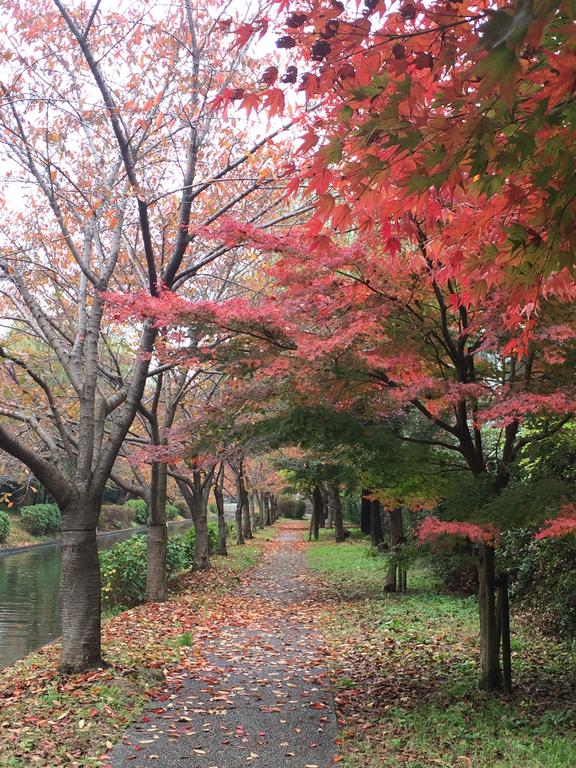 Secret Garden Kyoto