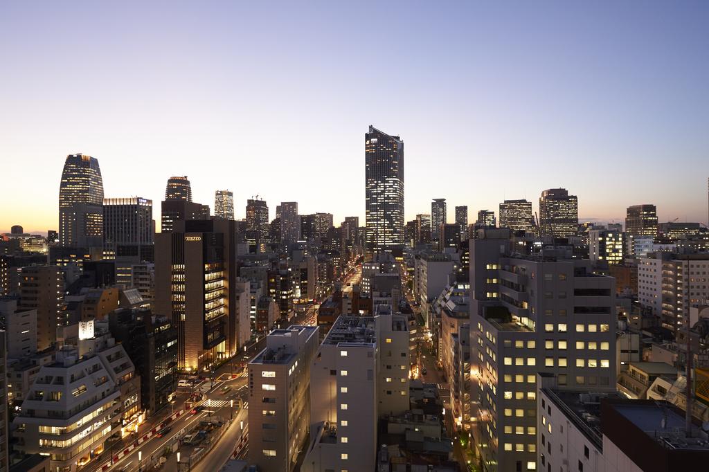 Sotetsu Fresa Inn Shimbashi-Karasumoriguchi