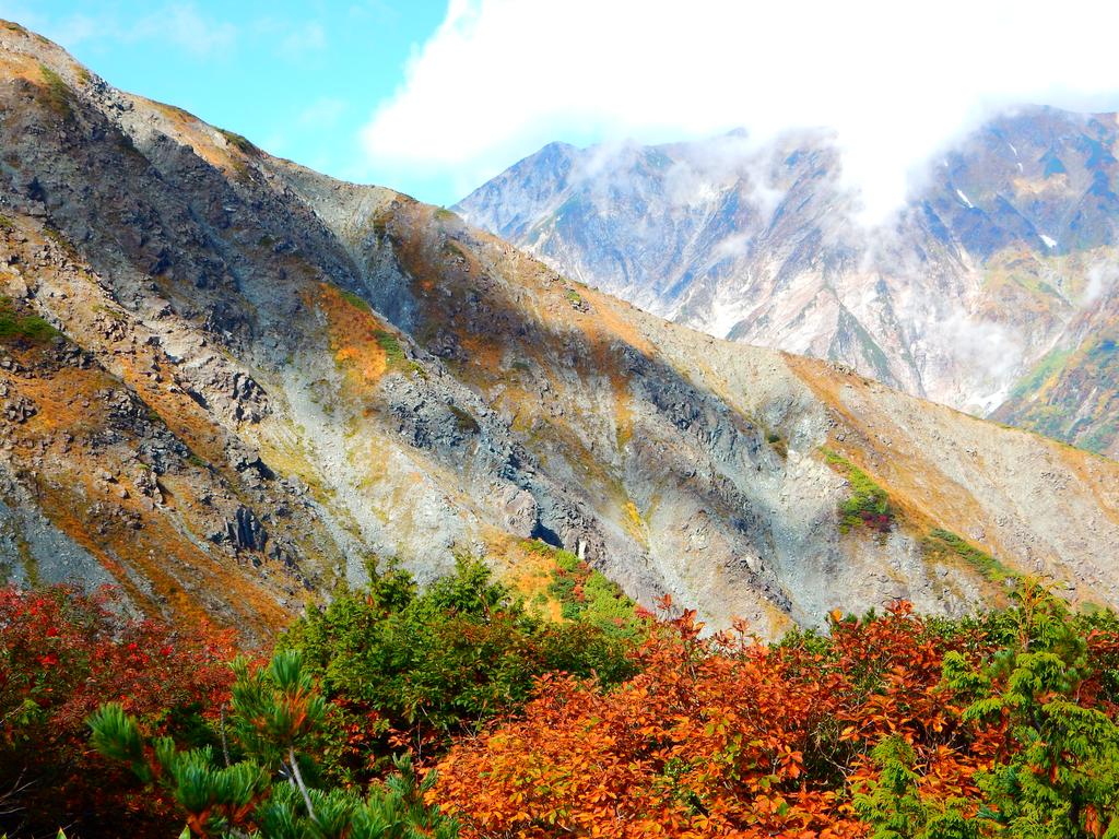 Schole Hakuba