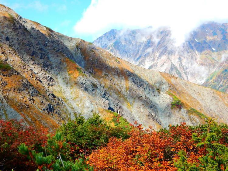 Schole Hakuba