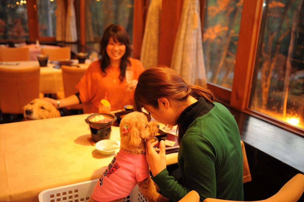 Izumigo Takayama Dog Paradise Hotel