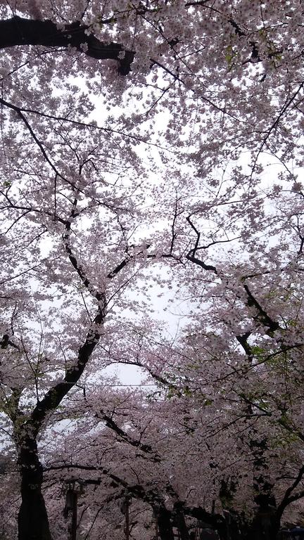 Sotetsu Fresa Inn Ochanomizu Jimbocho