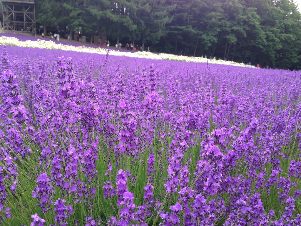 Brick House Furano