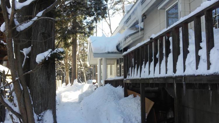 Hakuba Haven Lodge