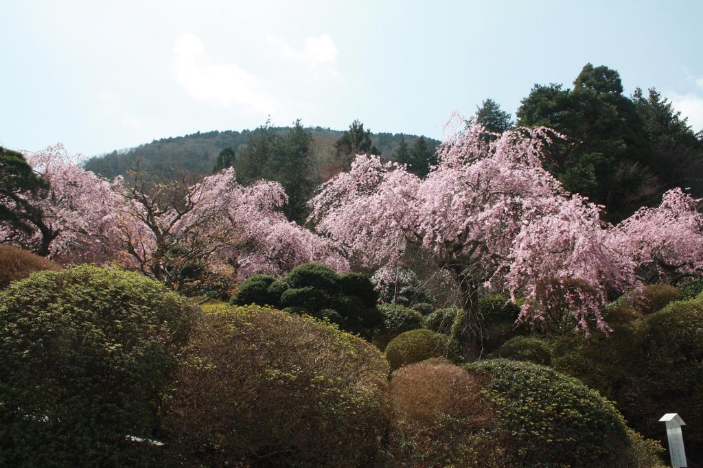 Hakone Kowakien Miyamafurin