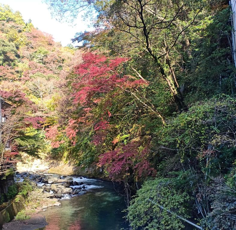 Hakone Villa