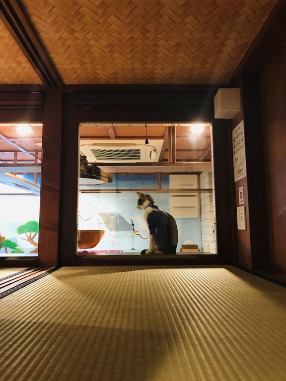 Cat Spa & Cat Ryokan by Neco Republic Osaka