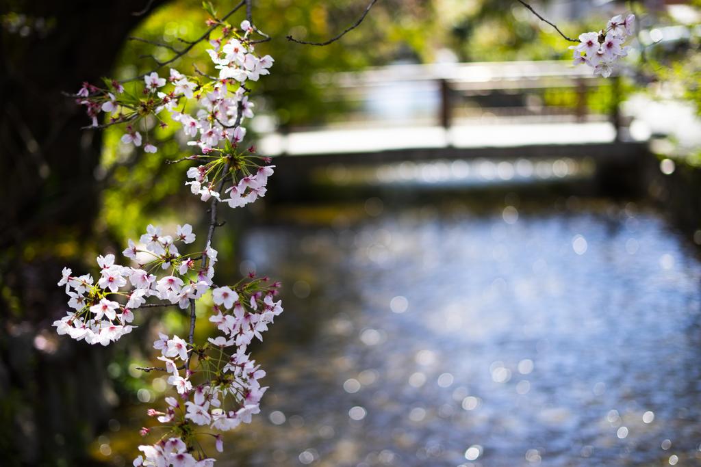 Kyoto Takasegawa Bettei