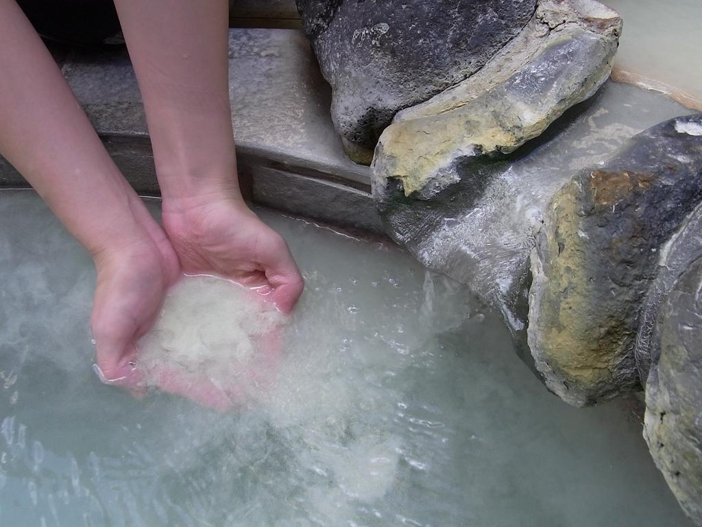 Fuji-Hakone Guest House