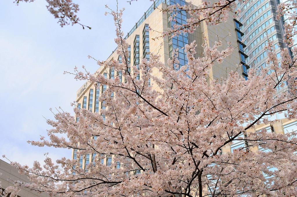 Grand Hyatt Tokyo