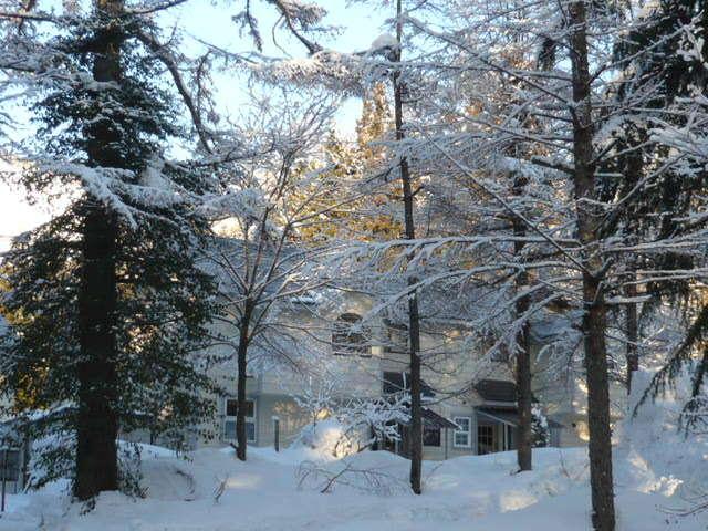 Hakuba Royal Suites