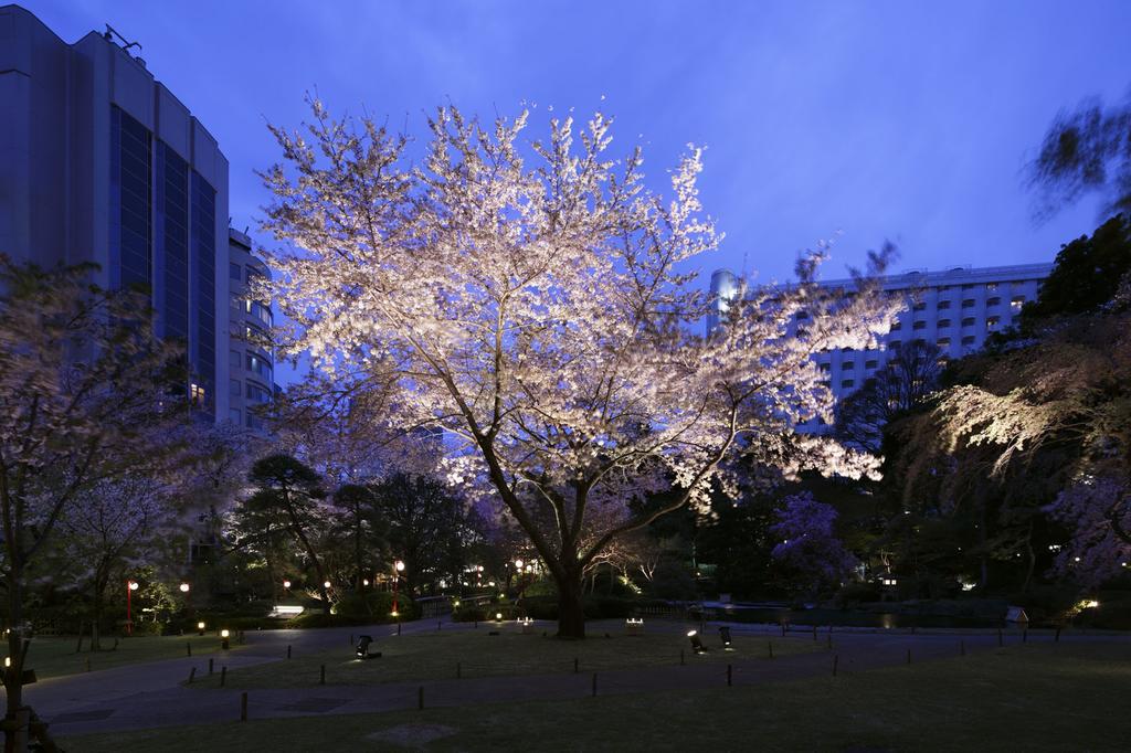 Grand Prince Hotel Takanawa