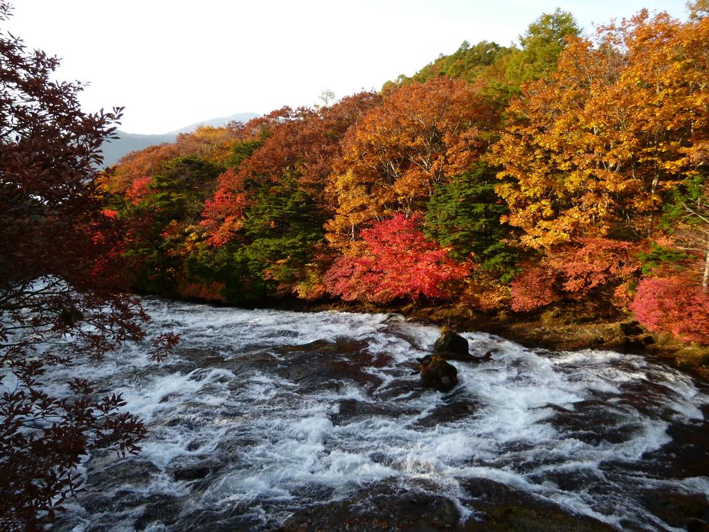 Little Forest Inn Nikko