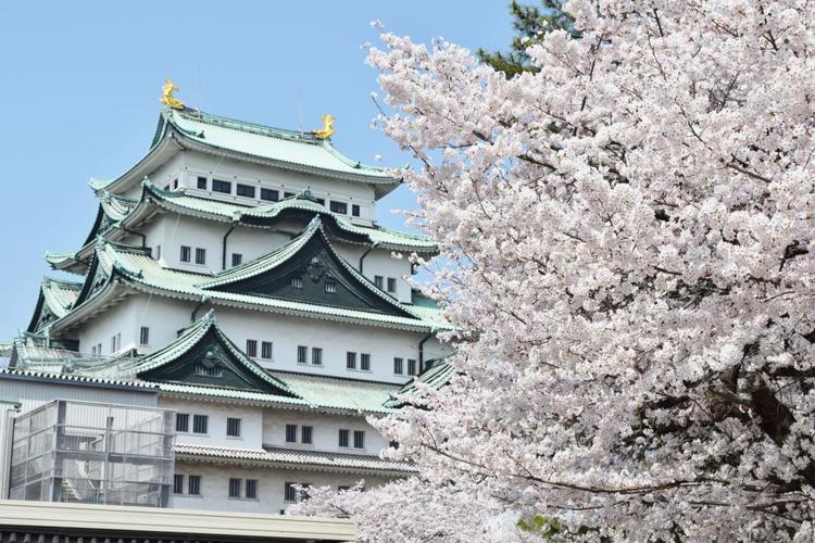 Hotel Nature Nagoya Sakae Kishu Railway Group