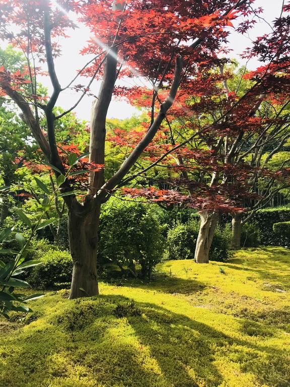 NARA japanese garden villa