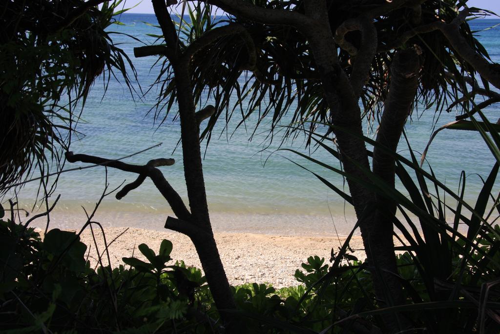 Cottage Sea Side