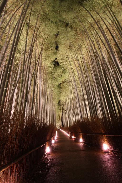 GuestHouse SagaArashiyama