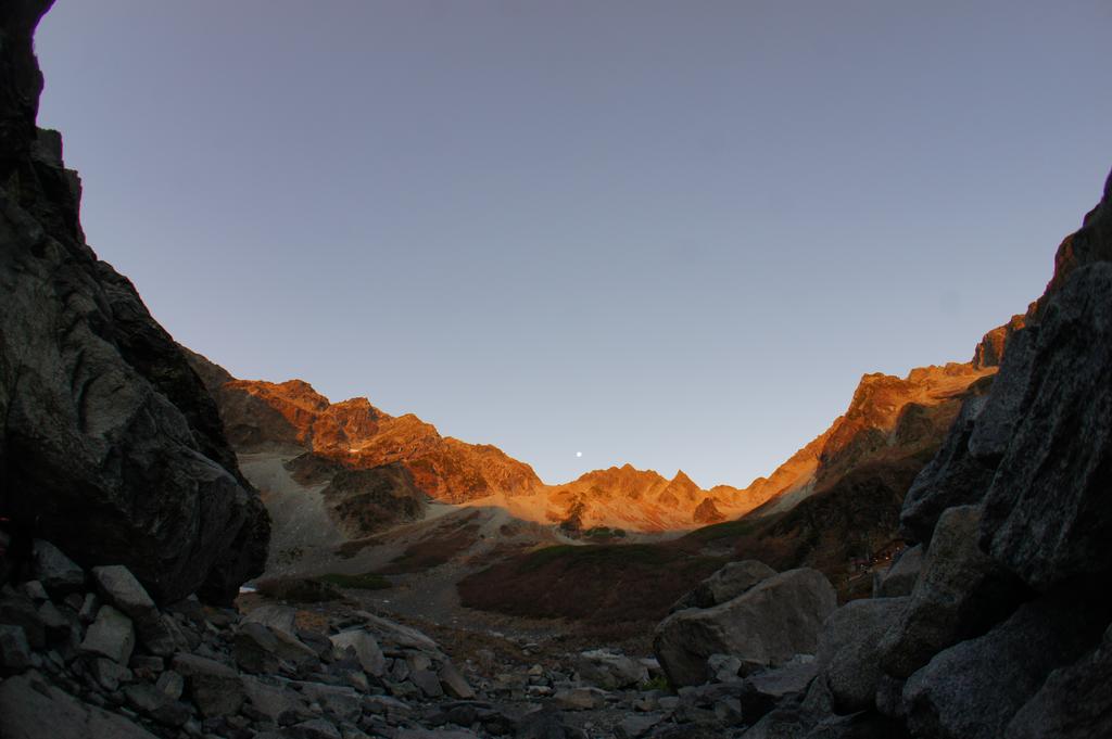 Schole Hakuba