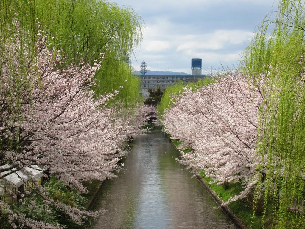 Secret Garden Kyoto