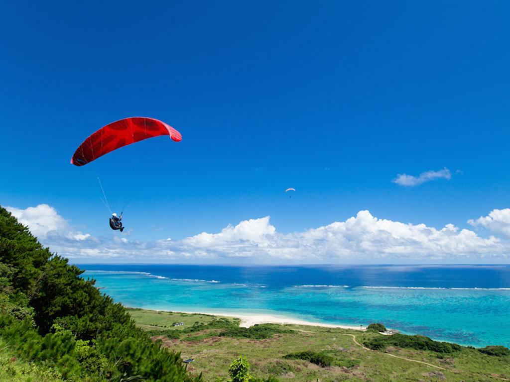 Sun Green Grass Ishigaki